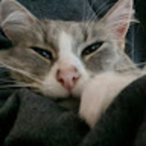 Meet your Posher, Jacob - Picture 1 of 1